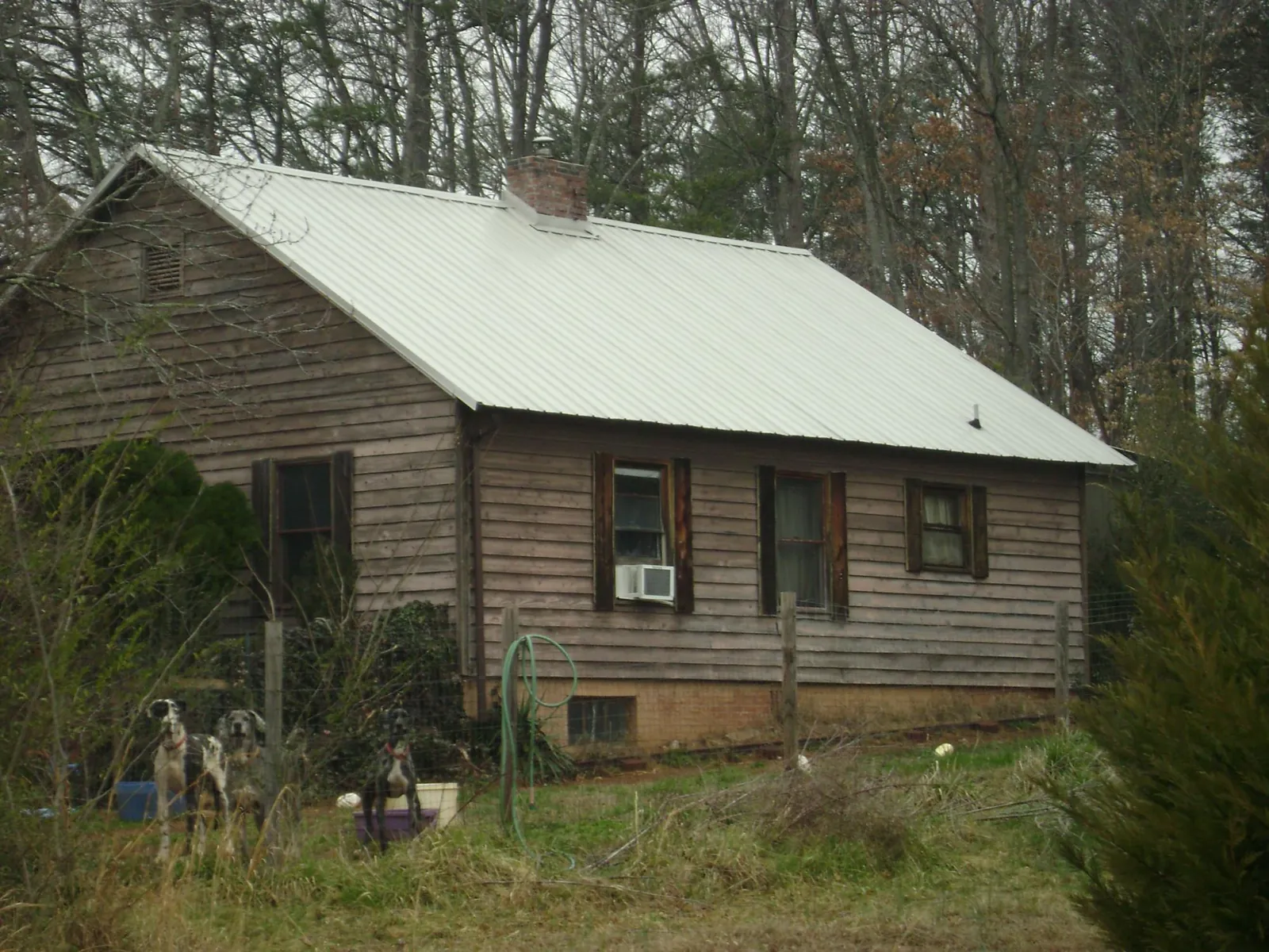 White metal roof on an old wood sided farmhouse, from a Asphalt Shingle Roof Repair job in Olivet